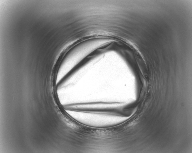 X0000066000987200603242027
