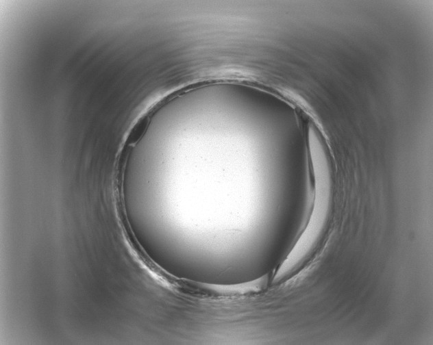X0000066000989200603242027