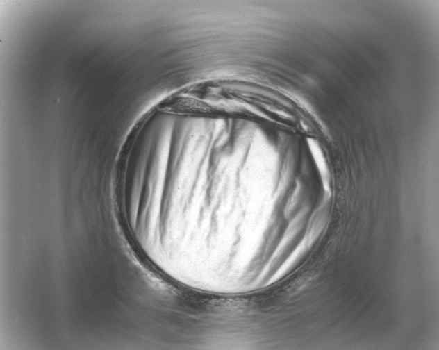 X0000066000991200603242027