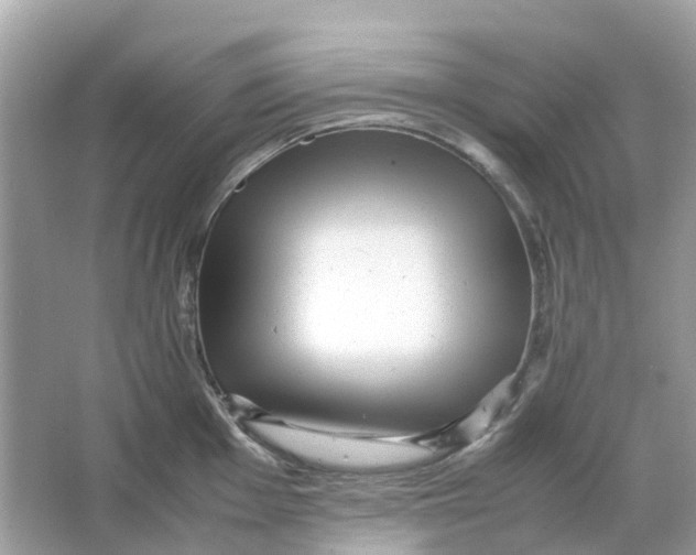 X0000066001001200603242027