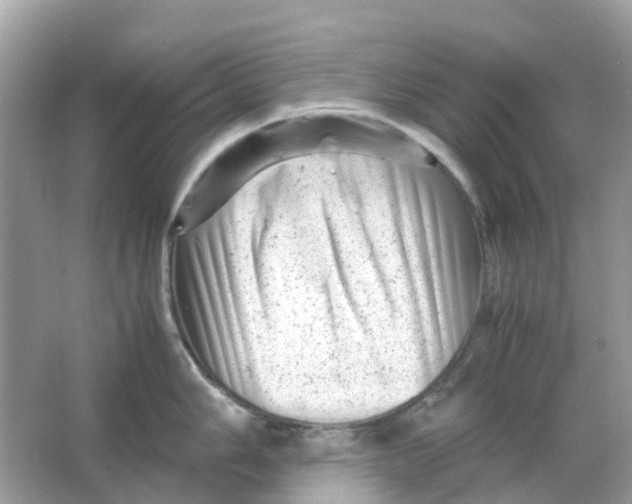 X0000066001006200603242027