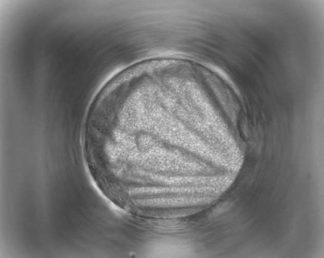 X0000066001007200603242027