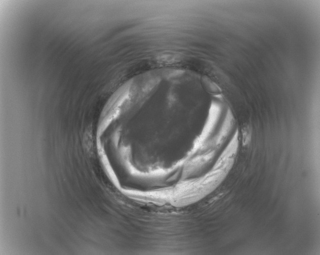 X0000066001011200603242026