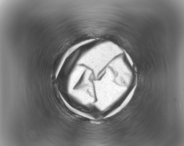 X0000066001012200603242026