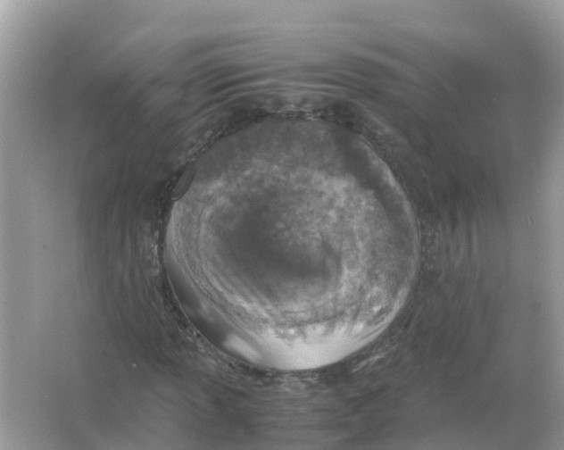 X0000066001013200603242026
