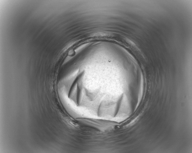 X0000066001017200603242026