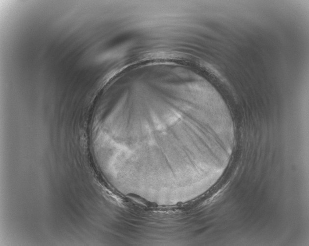 X0000066001025200603242026