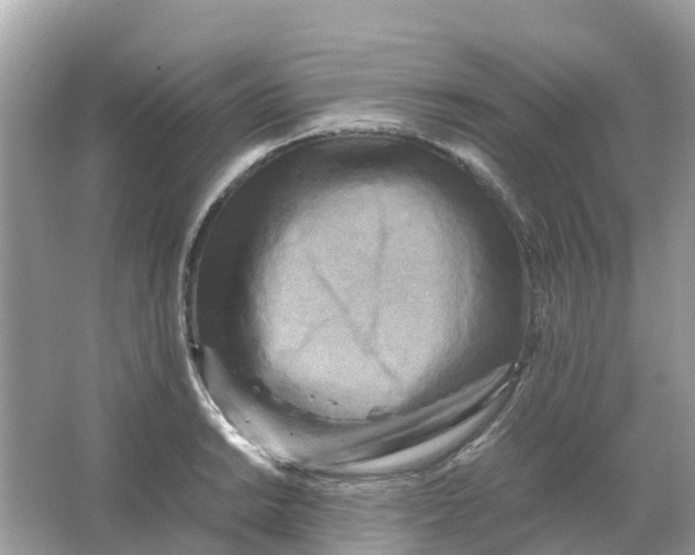 X0000066001038200603242026