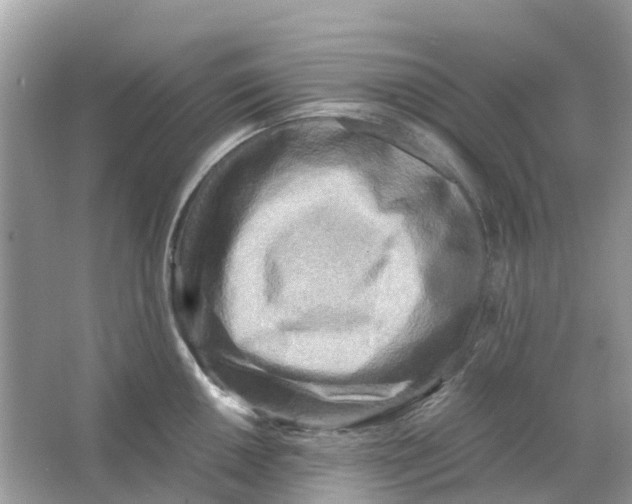 X0000066001050200603242026