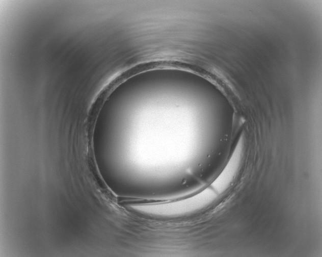 X0000066001069200603242025