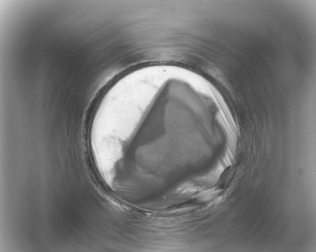 X0000066001071200603242025
