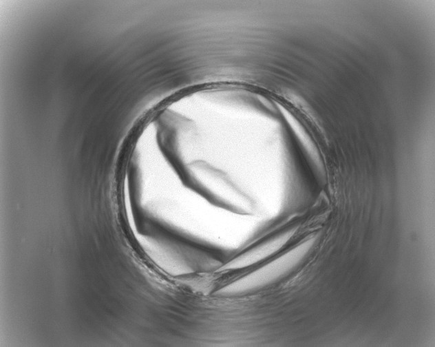 X0000066001072200603242025