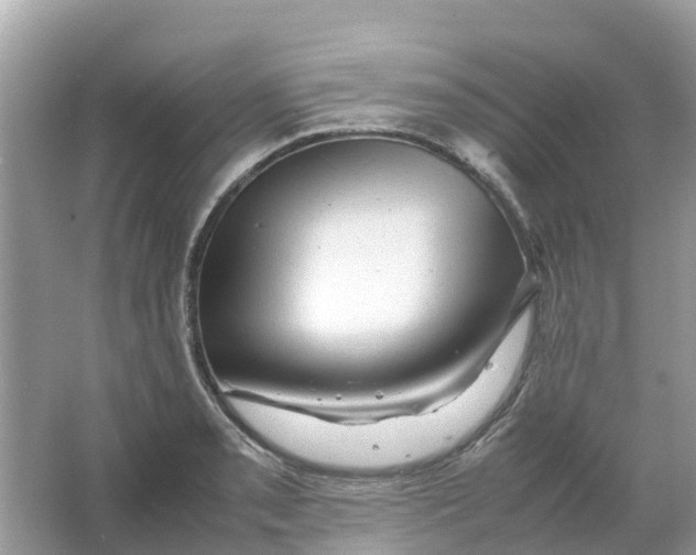 X0000066001085200603242025