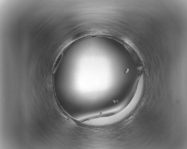 X0000066001089200603242025