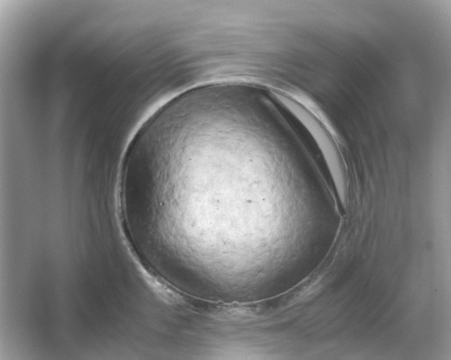 X0000066001101200603242025