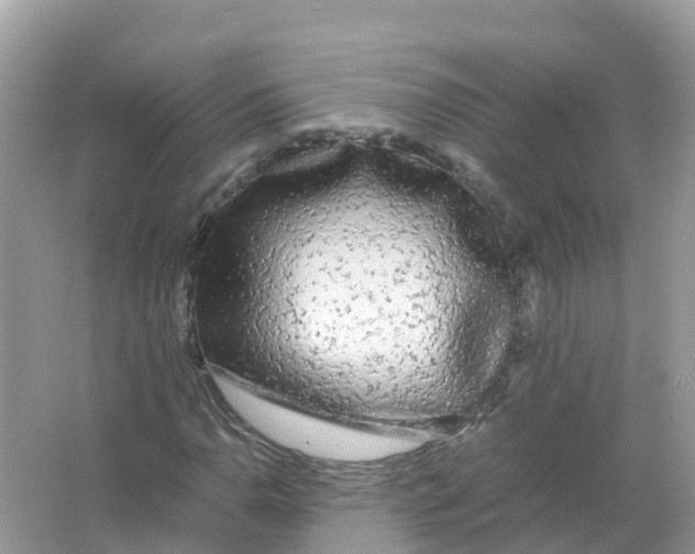 X0000066001110200603242024