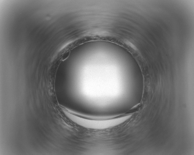 X0000066001112200603242024