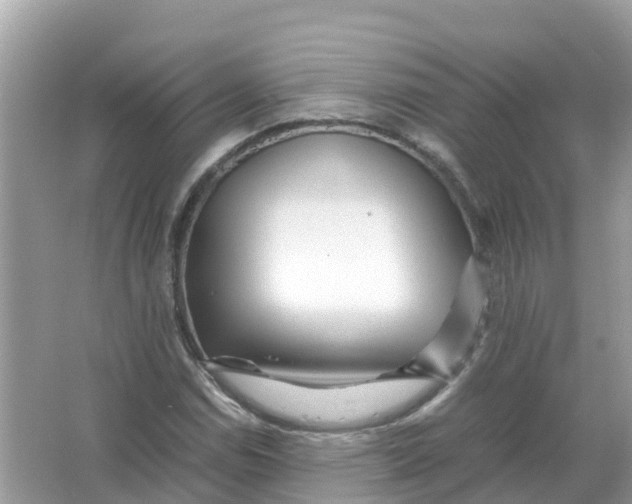 X0000066001114200603242024