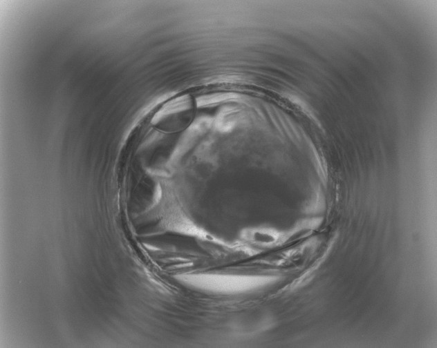 X0000066001117200603242024