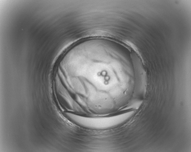 X0000066001120200603242024