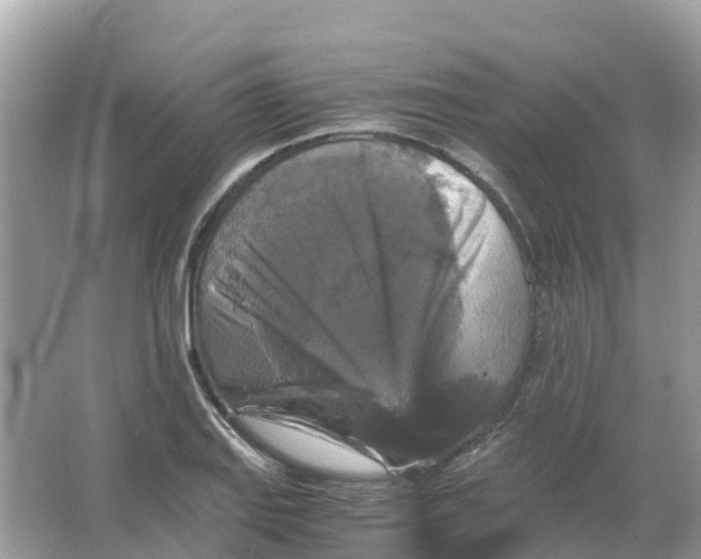 X0000066001127200603242024