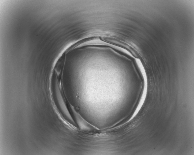 X0000066001128200603242024