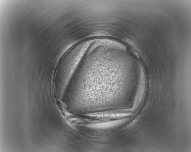 X0000066001129200603242024