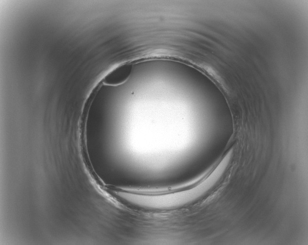 X0000066001134200603242025