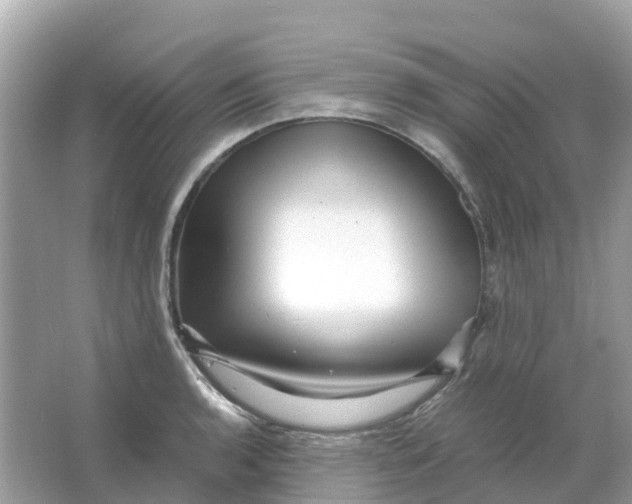 X0000066001136200603242025