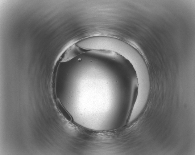 X0000066001138200603242025