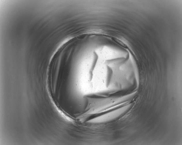X0000066001139200603242025