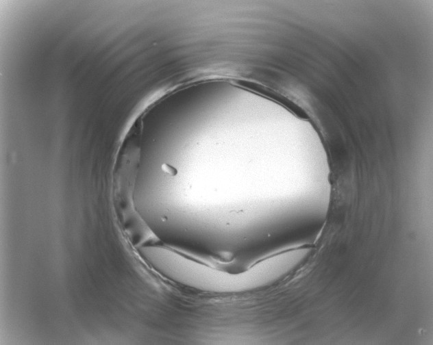 X0000066001146200603242025