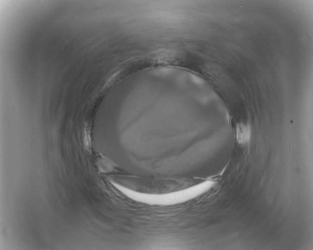 X0000066001155200603242024