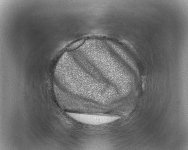 X0000066001159200603242024