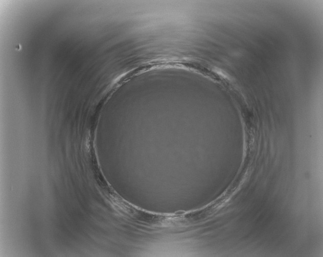 X0000066001161200603242024