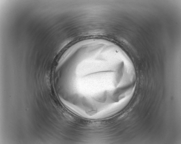 X0000066001162200603242024