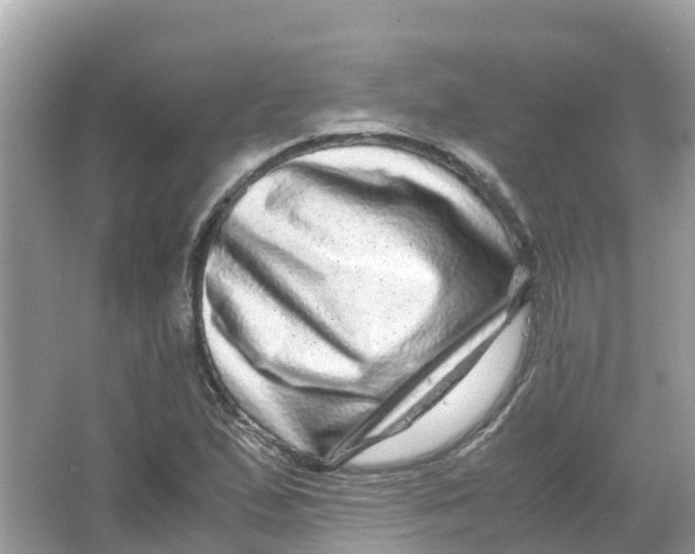 X0000066001167200603242024