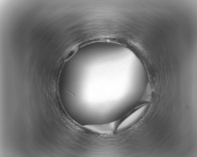 X0000066001169200603242024