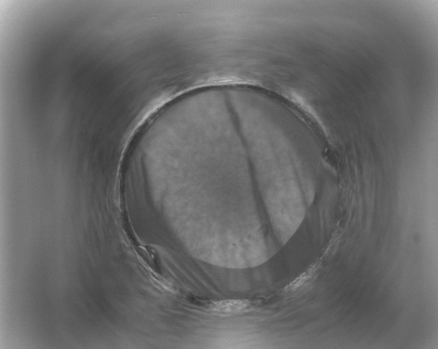X0000066001173200603242024