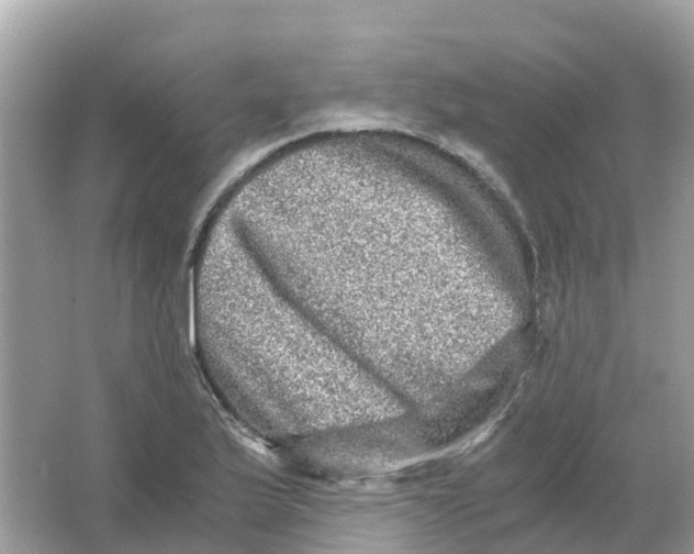 X0000066001175200603242024