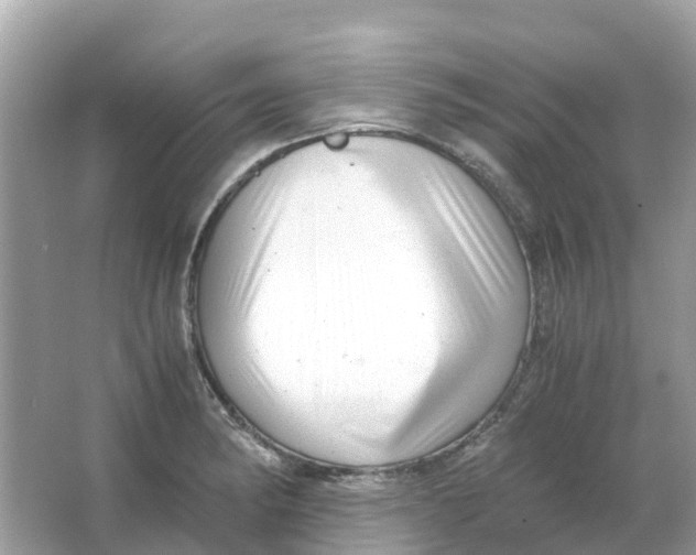 X0000066001182200603242024