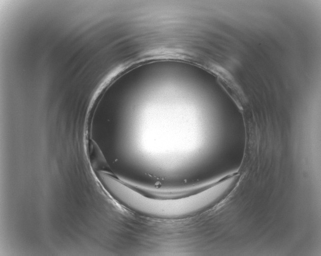 X0000066001188200603242023