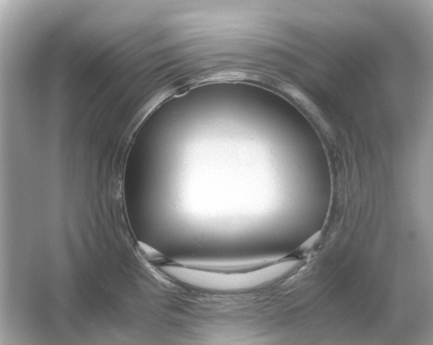 X0000066001193200603242023