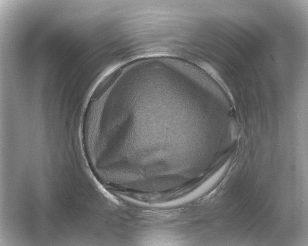 X0000066001197200603242023