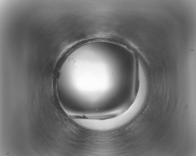 X0000066001214200603242023