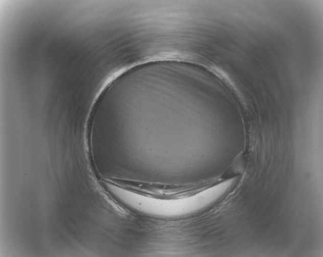 X0000066001230200603242023