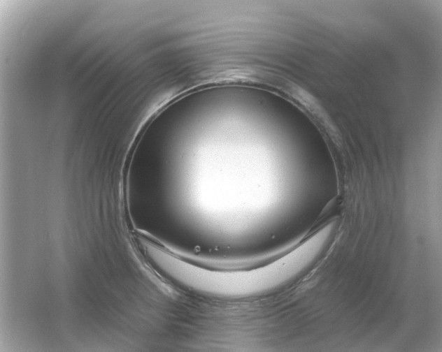 X0000066001234200603242023