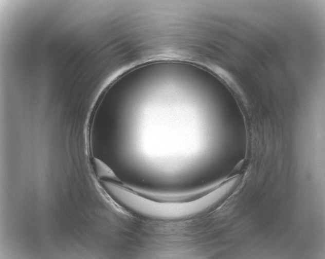 X0000066001238200603242023