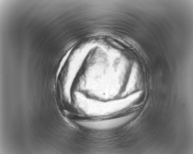 X0000066001241200603242023