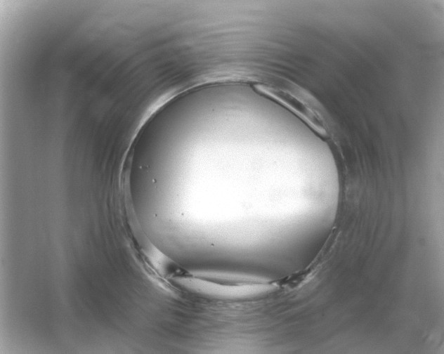 X0000066001242200603242023